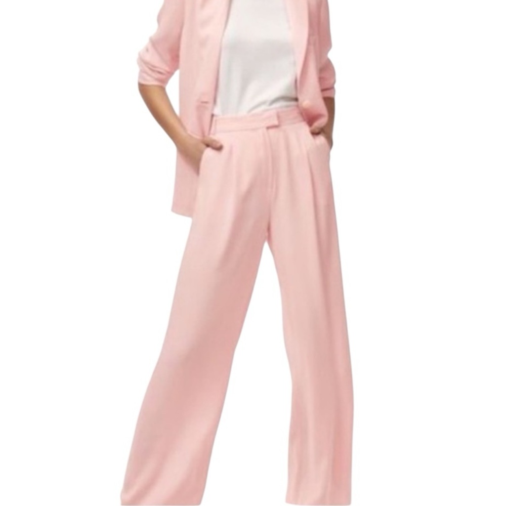 Aritzia Babaton Sadiki Soft Pink Wide Leg High Rise Relaxed Casual Pants Sz 2